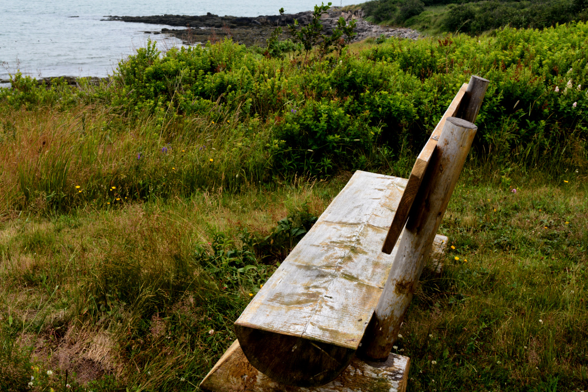 bench by the ocean