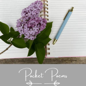Pocket Poems: A Set of 30 Inspiration Cards